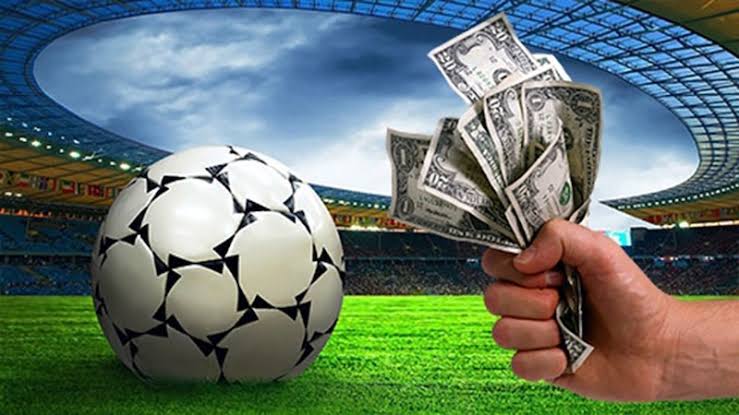 Découvrez le monde fascinant de Winner Bet