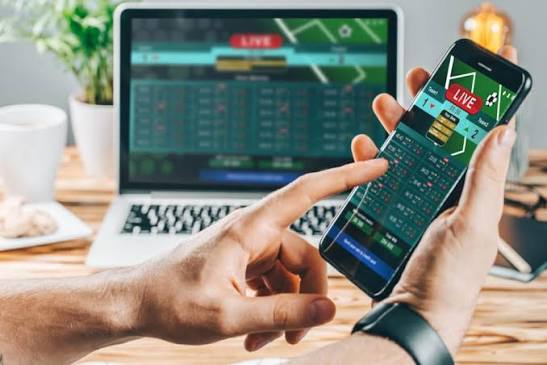 Découvrez le monde fascinant de Winner Bet