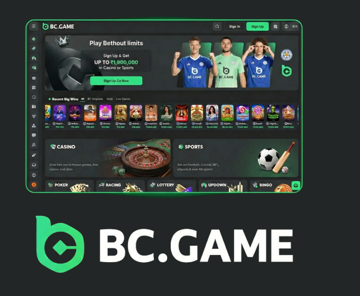 Unleashing the Thrill A Deep Dive into BC.Game Crypto Casino